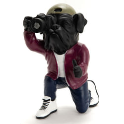 Chien photographe - Amadeus
