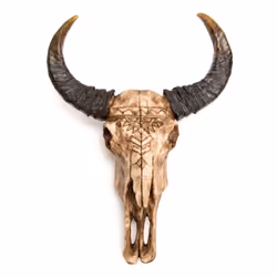 Votre mur va prendre du volume avec ce magnifique trophée mural représentant un crâne décoratif. En polyrésine, il prend la f ...