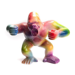 Gorille Rainbow S - Amadeus