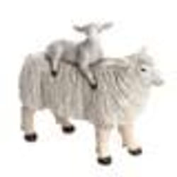 Mouton maman et bébé - Amadeus