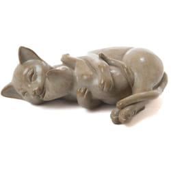 Amadeus - Chat maman et bébé allongés