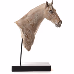 Adeptes des chevaux, cette magnifique tête de cheval effet naturel vous séduira ! Grâce à son socle vous pourrez exposer et a ...