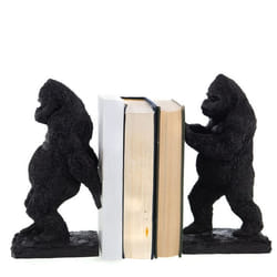 Amadeus - Serre Livre Gorille Noir