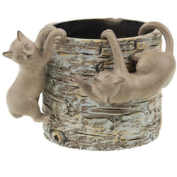Amadeus - Lot de 2 chats rigolo à suspendre