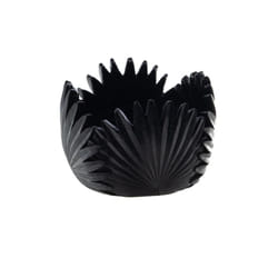 Coupe Tropical noire 15 cm - Amadeus