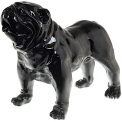 Bulldog usa Loft noir 70 cm - Amadeus