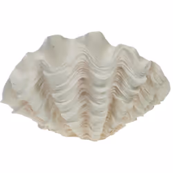 La Coupe Coquillage Bénitier XXL en résine évoque l'élégance du bord de mer, avec ses lignes fluides et son design inspiré de ...
