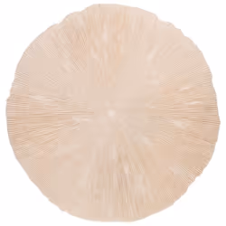 Apportez une touche d'élégance naturelle à votre intérieur avec la décoration murale Corail crème, grand modèle. Inspirée des ...