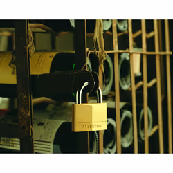 MASTER LOCK Cadenas en laiton massif d'une largeur de 40 mm