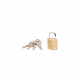 Cadenas à clé MASTER LOCK, grâce à son corps en laiton ultra épais, ce cadenas offre une sécurité efficace pour vos objets de ...