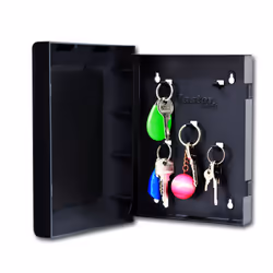 MASTER LOCK Armoire cls - Format S - Contenance 5 cls