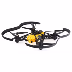 Parrot Airborne Cargo Travis
