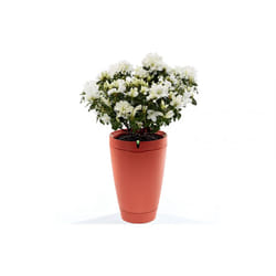 Parrot PF901001 Pot élégant Orange