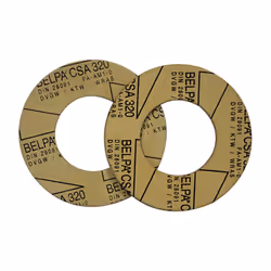 Présentation Lot de 2 Joints Universel pour Bride DN 50 Jeu de 2 joints pour contre-brides PN10 sur les circulateurs à bride  ...