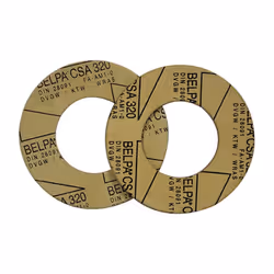 Présentation Lot de 2 Joints Universel pour Bride DN 80 Jeu de 2 joints pour contre-brides PN10 sur les circulateurs à bride  ...