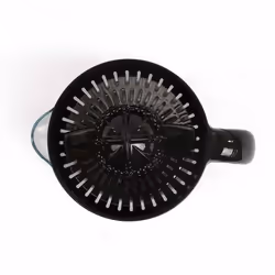 Livoo DOD131N presse-agrumes Centrifugeuse lente 25 W Noir, Transparent