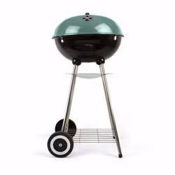 Livoo DOC172VE, Barbecue, Charbon de bois (combustible), Extérieure, Chaudron, Grille, Noir, Vert