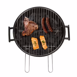 Livoo DOC172VE barbecue et grill Chaudron Charbon de bois (combustible) Noir, Vert