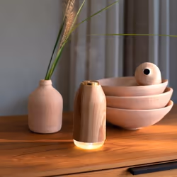 Livoo DE122 diffuseur aromatique Réservoir Bois