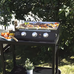 Livoo DOC249 barbecue et grill Dessus de table Gaz Noir 7200 W