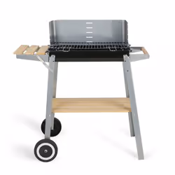 Livoo DOC244 barbecue et grill Chariot Bois de chauffage Noir, Acier inoxydable