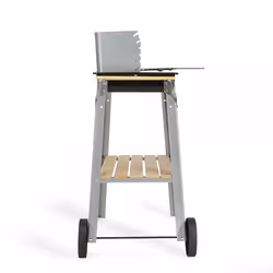 Livoo DOC244 barbecue et grill Chariot Bois de chauffage Noir, Acier inoxydable