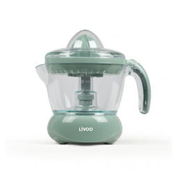 Livoo DOD131VS presse-agrumes Centrifugeuse lente 25 W Vert, Transparent