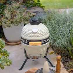 Livoo DOC283 barbecue et grill Barbecue/grill Kamado Chaudron Charbon de bois (combustible) Crème