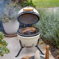 Livoo DOC283 barbecue et grill Barbecue/grill Kamado Chaudron Charbon de bois (combustible) Crème
