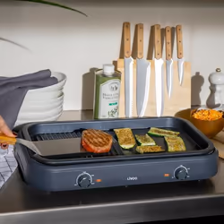 Livoo DOC289 barbecue et grill Dessus de table Electrique Bleu 1900 W