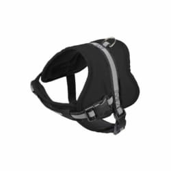 Paris Prix Harnais Essentiel - 45cm - Noir