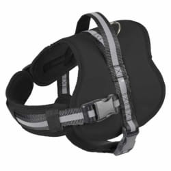 Paris Prix Harnais Essentiel - 96cm - Noir
