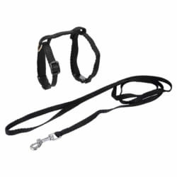Harnais & Laisse pour Chat Noir