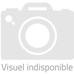 Pneu avant Michelin Road 6 GT Radial ZR TL 58W