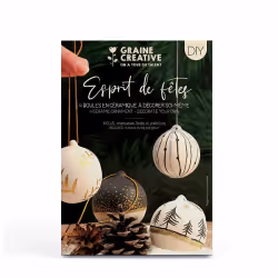 Graines Créatives Coffret DIY Boules de Noël