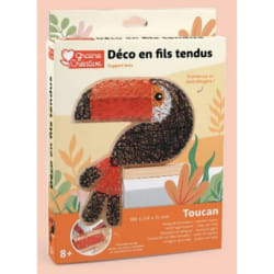 Graines Créatives Kit String art Toucan en bois
