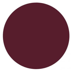 Eye Care Eyeliner 5 g - Teinte : 305 : Bordeaux