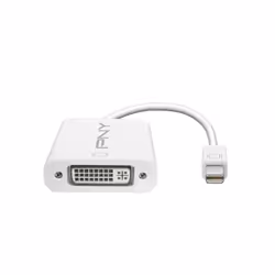 PNY Mini DisplayPort - DVI, Mini DisplayPort, DVI, Mâle, Femelle, 1080p, Blanc