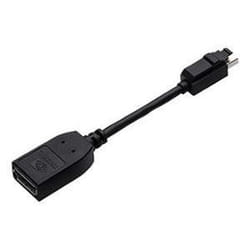 PNY Mini DisplayPort/DisplayPort Noir