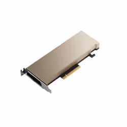 PNY A2, A2, 16 Go, GDDR6, 128 bit, PCI Express x8 4.0