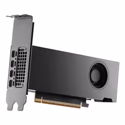 PNY RTX PRO 2000 Blackwell NVIDIA 16 Go GDDR7 - Vue supplémentaire 3