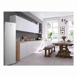 Frigelux RA235XE réfrigérateur Pose libre 230 L E Acier inoxydable - Vue supplémentaire 4