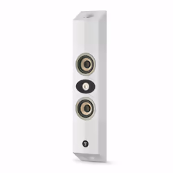 Focal 301