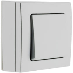 Zenitech - Va et vient 10A saillie borne auto - Gris - Bel'Vue