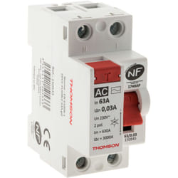 Thomson - Interrupteur différentiel à vis - 63A type ac nf