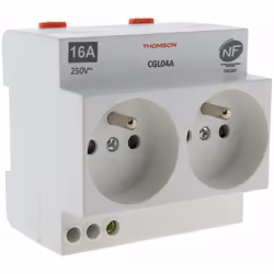 Description générale La prise modulaire double NF 16A 2P+T de Thomson est conçue pour une installation sur coffret ou tableau ...