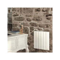 Thermor - Radiateur électrique à fluide 300W baleares 2 - 492401