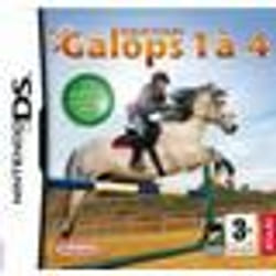 EQUITATION