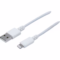 Dacomex 194041, Blanc, USB A, Lightning, 1 m, Mâle, Mâle