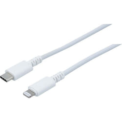 Dacomex 194042 câble Lightning 2 m Blanc